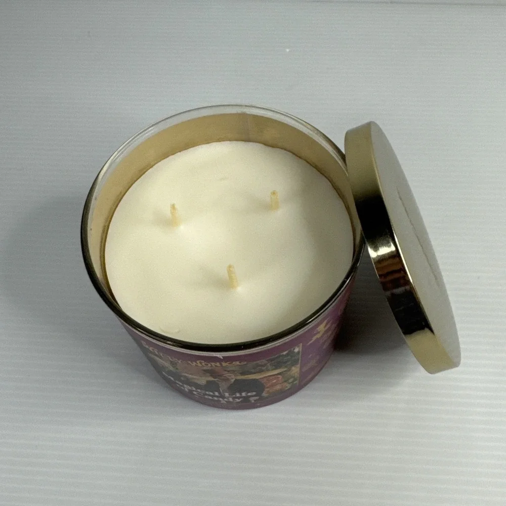 Goose Creek Willy Wonka Magical Life of Candy Candle 3 Wick New Fruity Candy